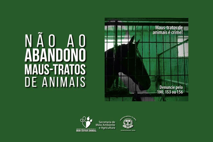 Prefeitura lança campanha Dezembro Verde contra abandono de animal