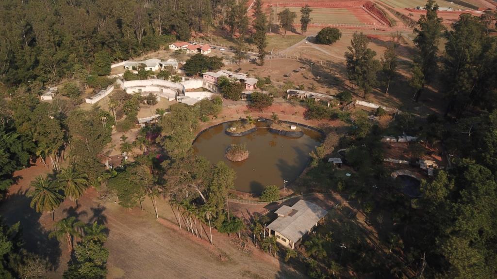 Zoológico dará lugar a santuário de animais silvestres em Limeira