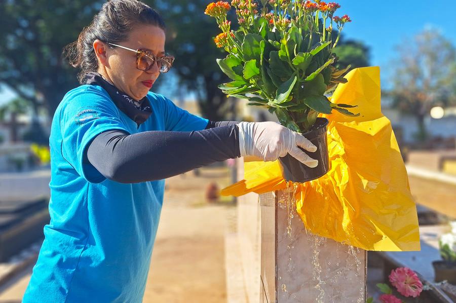 Cemitérios recebem ação de prevenção à dengue; Limeira tem 1.623 casos confirmados