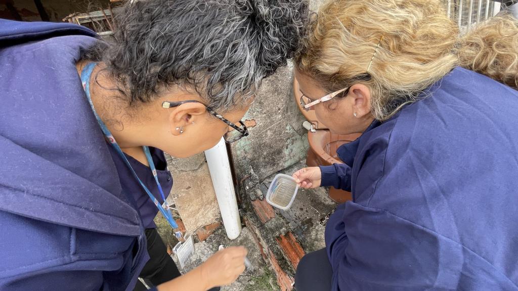 Mutirão de dengue percorre em cinco bairros e identifica 167 criadouros neste sábado (11)