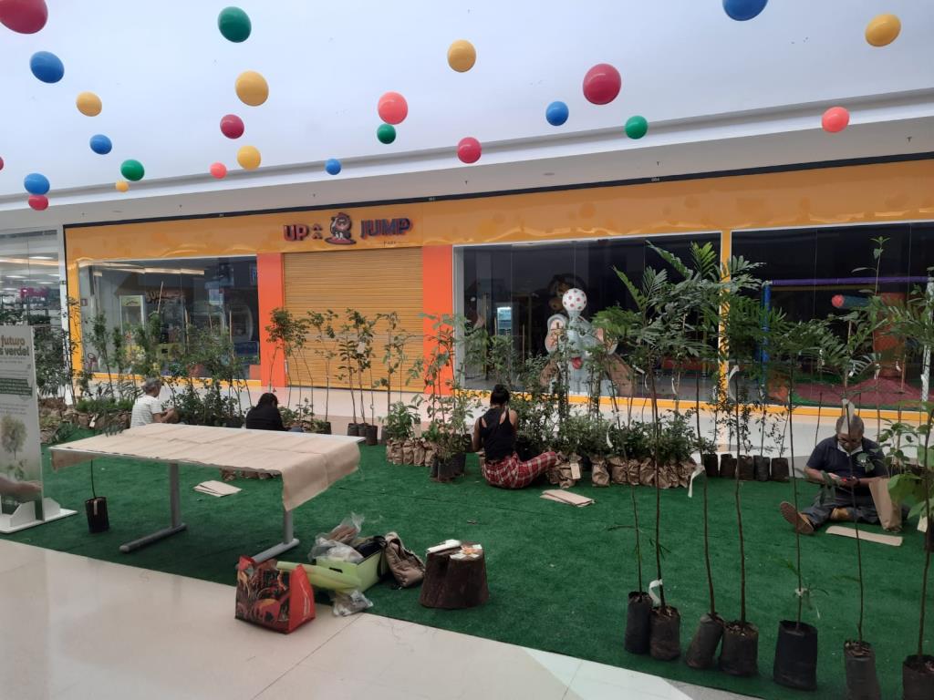 Prefeitura distribui mudas de árvores nativas no Limeira Shopping