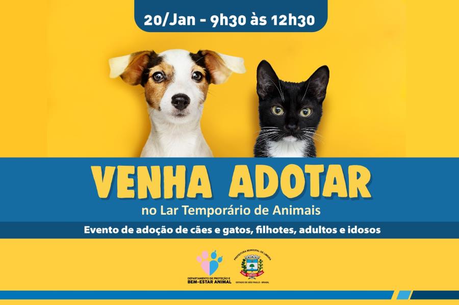 Evento de adoção de animais acontece no próximo sábado (20) em Limeira