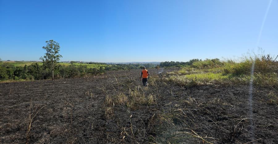 Defesa Civil atua no controle de fogo em área de mata próxima ao Horto