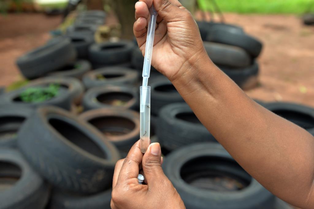 Mutirão identifica 148 criadouros do mosquito da dengue na região da Vila Camargo