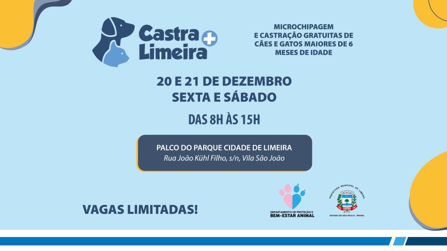 Último mutirão de castração gratuita do ano será no Parque Cidade