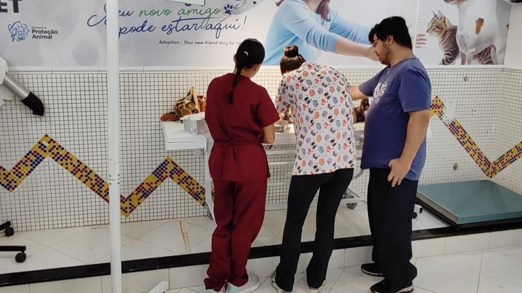 Clínica pública amplia em 415% o atendimento veterinário gratuito em Limeira