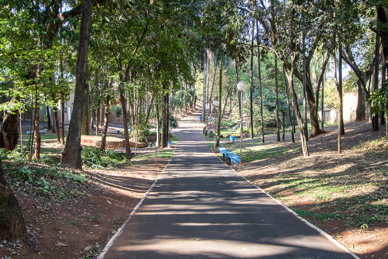 Alunos participam de trilha ecológica no Bosque Prefeita Maria Thereza