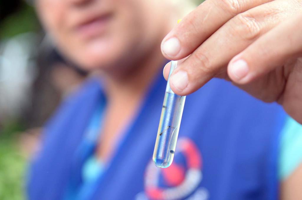 Mutirão da dengue encontra 89 criadouros neste sábado (16) na região do Parque Novo Mundo