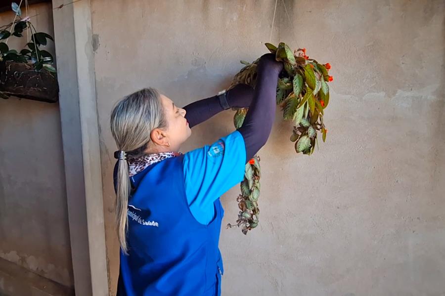 Parque Hipólito e Boa Esperança recebem Dia D de combate à dengue neste sábado