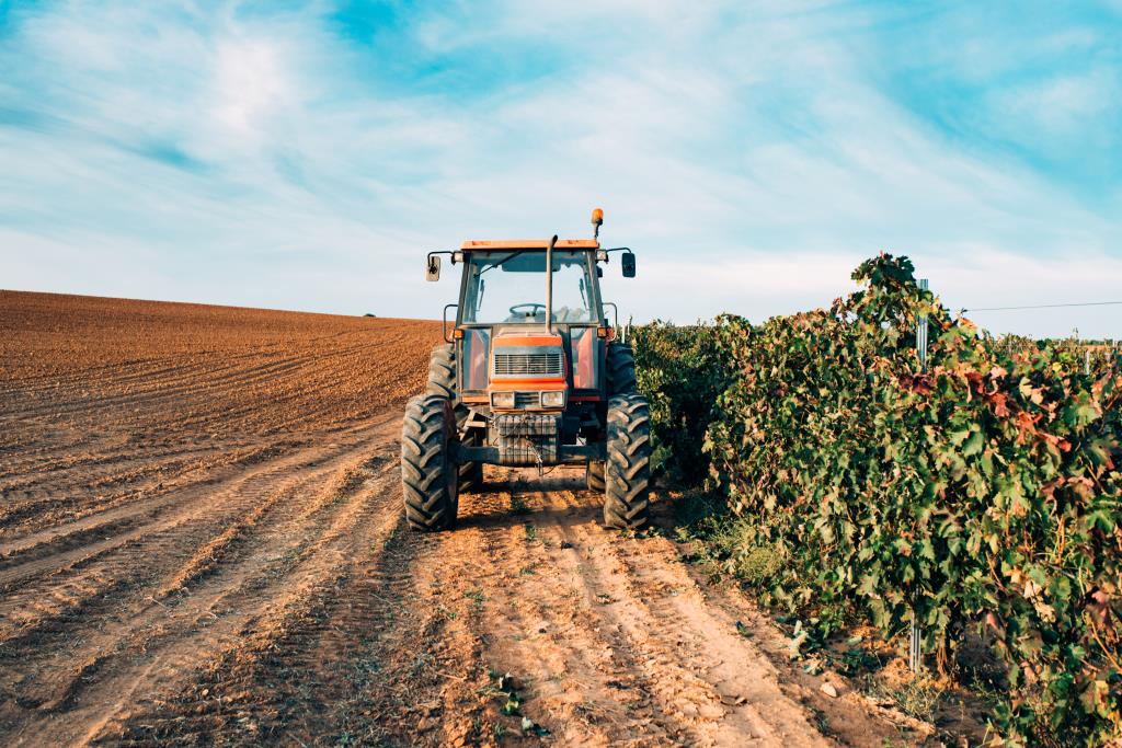 Limeira incentiva o protagonismo feminino no agronegócio com nova edição do “Semeadoras do Agro”