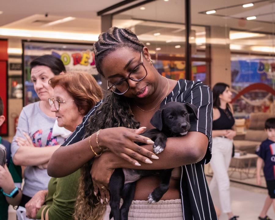 Cãezinhos encontram nova família em evento de adoção