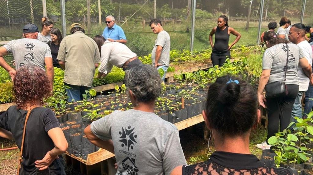 Frente de Trabalho: participantes recebem capacitação em Viveiro de Mudas Nativas