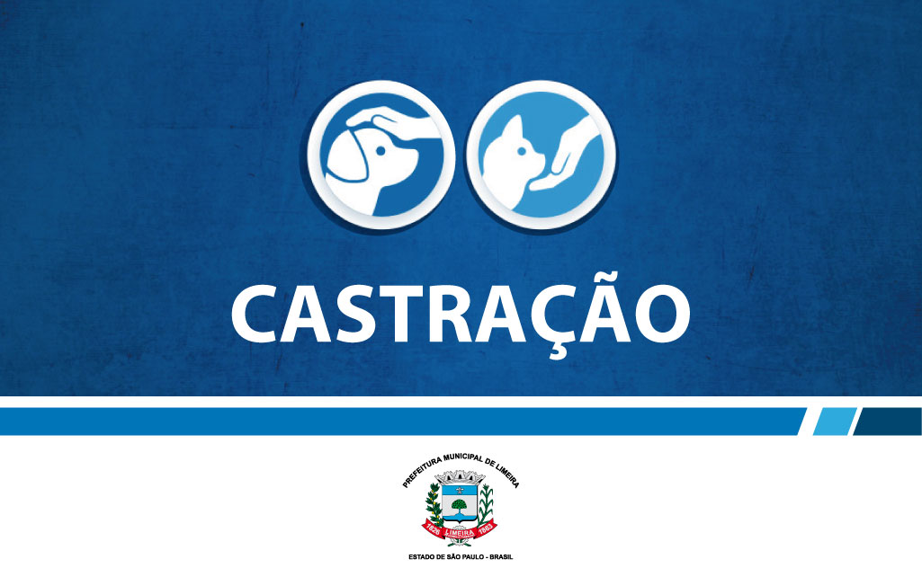 Limeira realiza ação gratuita de castração de animais neste fim de semana