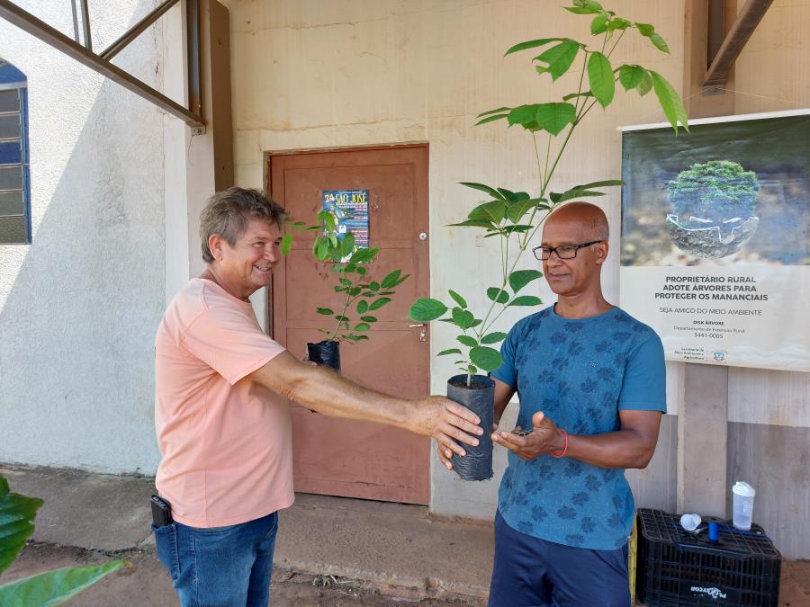 Prefeitura realiza doação de mudas no Bairro dos Pires