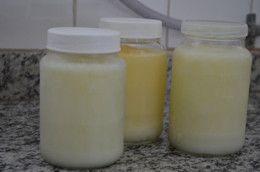 Agosto Dourado reforça importância da doação de leite materno em Limeira; saiba como ajudar