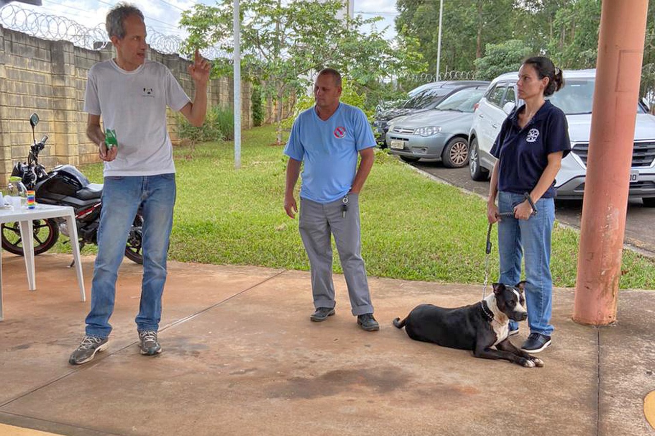 Servidores da Divisão de Zoonoses recebem capacitação sobre animais agressores