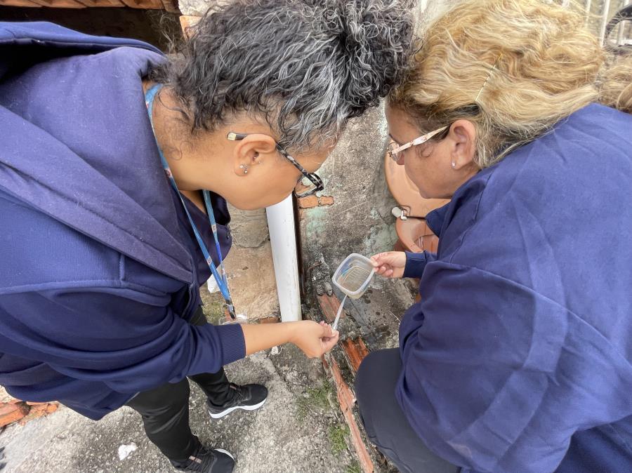 Mutirão contra a dengue identifica 72 criadouros na região do Jd. Piratininga