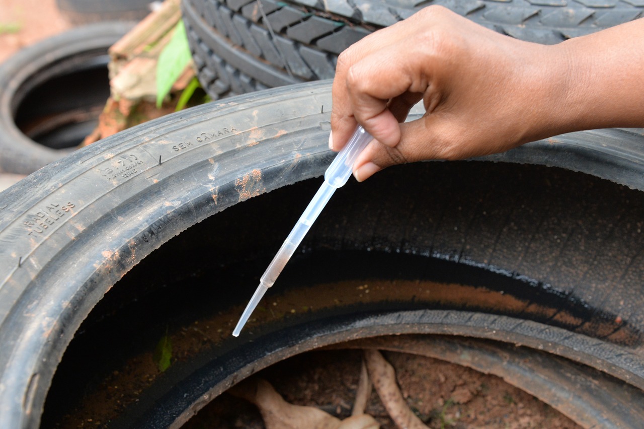 Prefeitura reforça prevenção à dengue