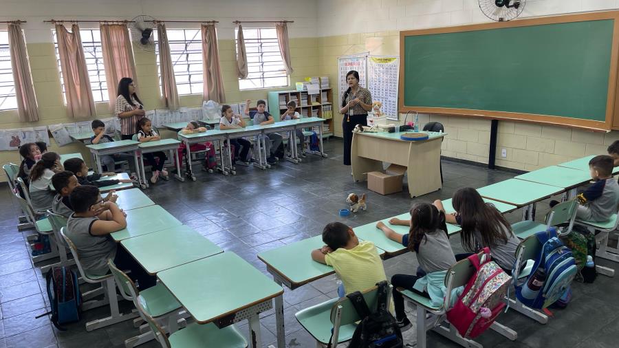 Campanha contra maus-tratos atinge 1.362 pessoas em Limeira com ações educativas
