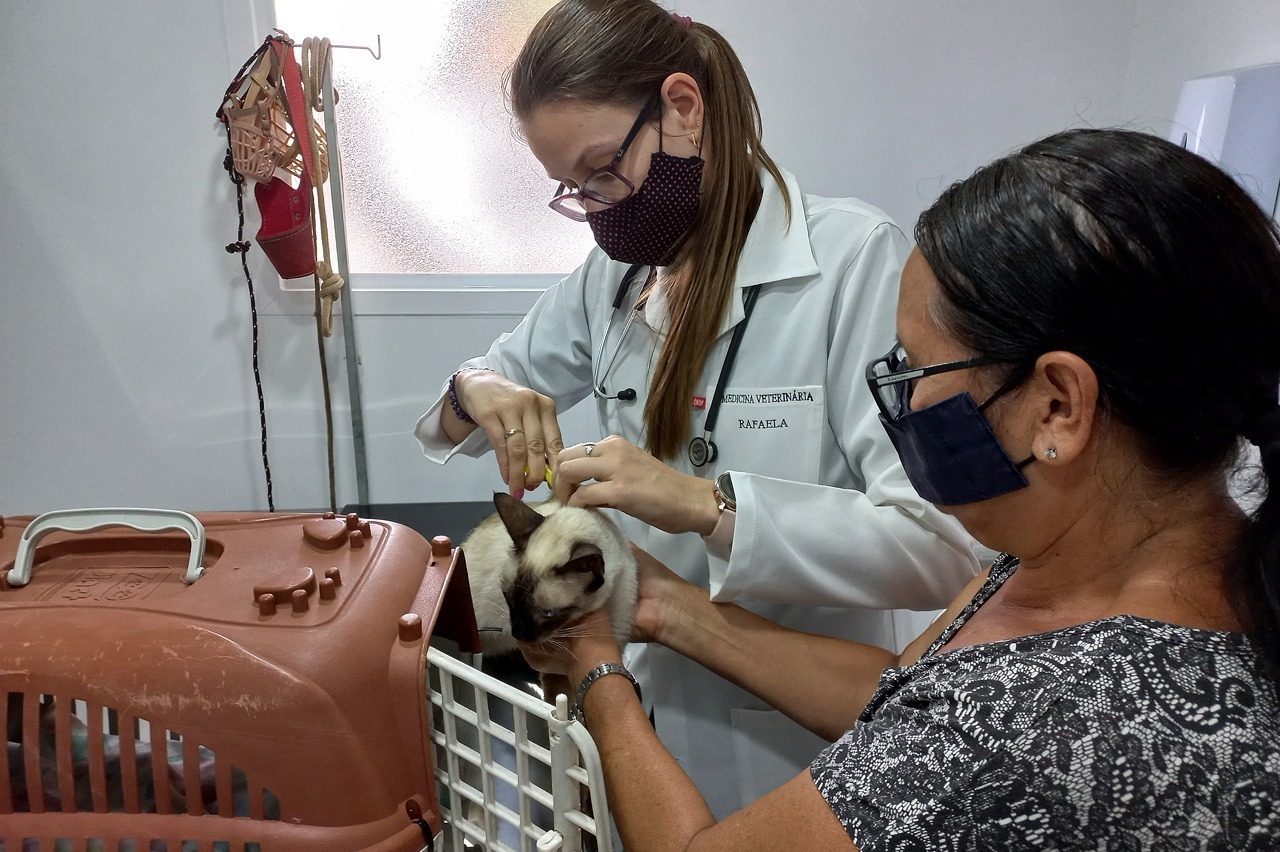 Após aprovação na Câmara, Limeira ganhará clínica veterinária gratuita em novembro