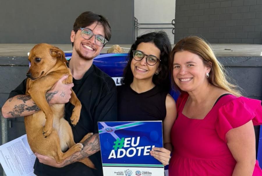 Feira de adoção em Limeira garante novo lar para 14 animais resgatados