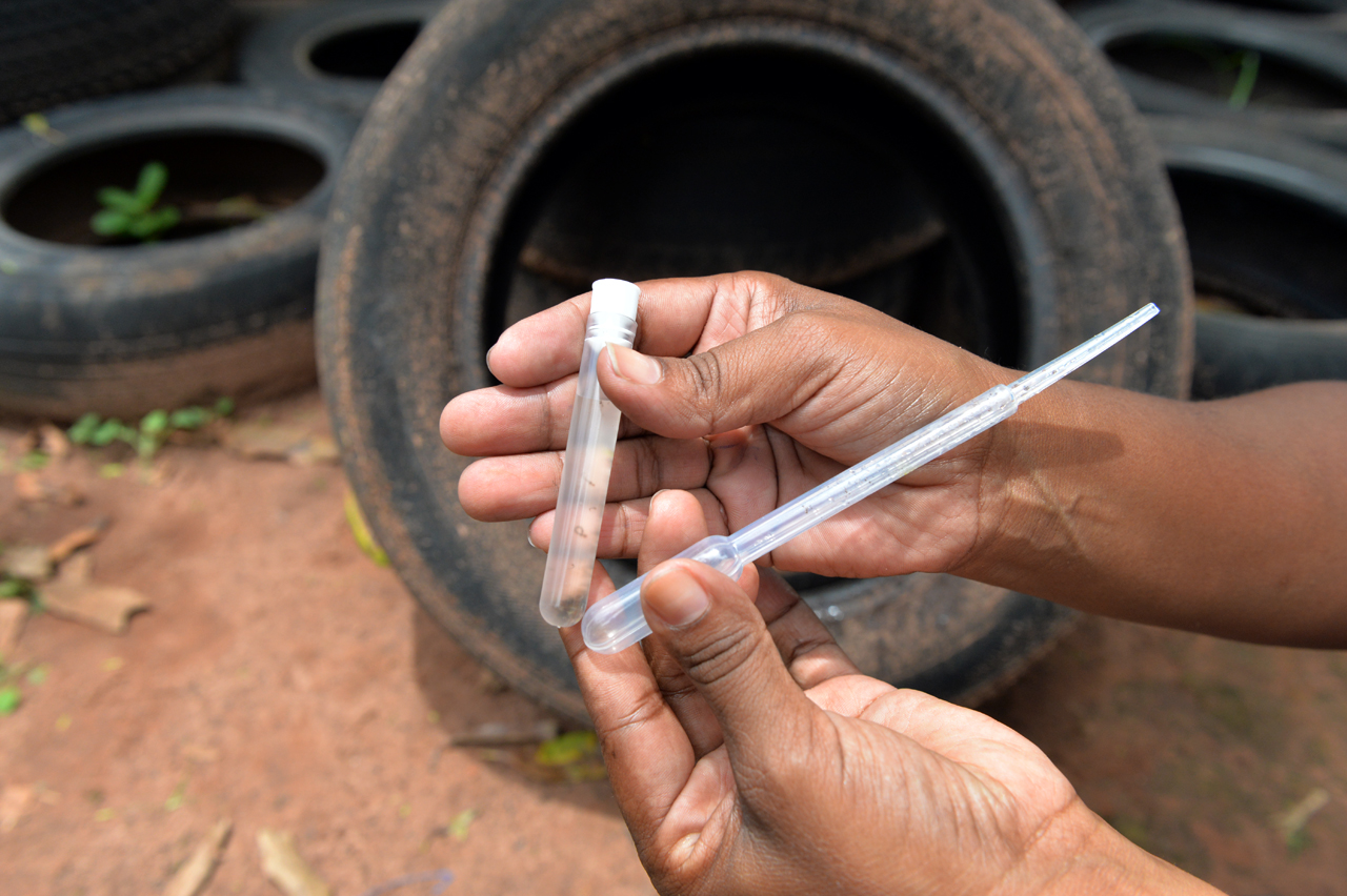 Região do Jd. Ernesto Kühl recebe mutirão contra a dengue neste sábado (11)