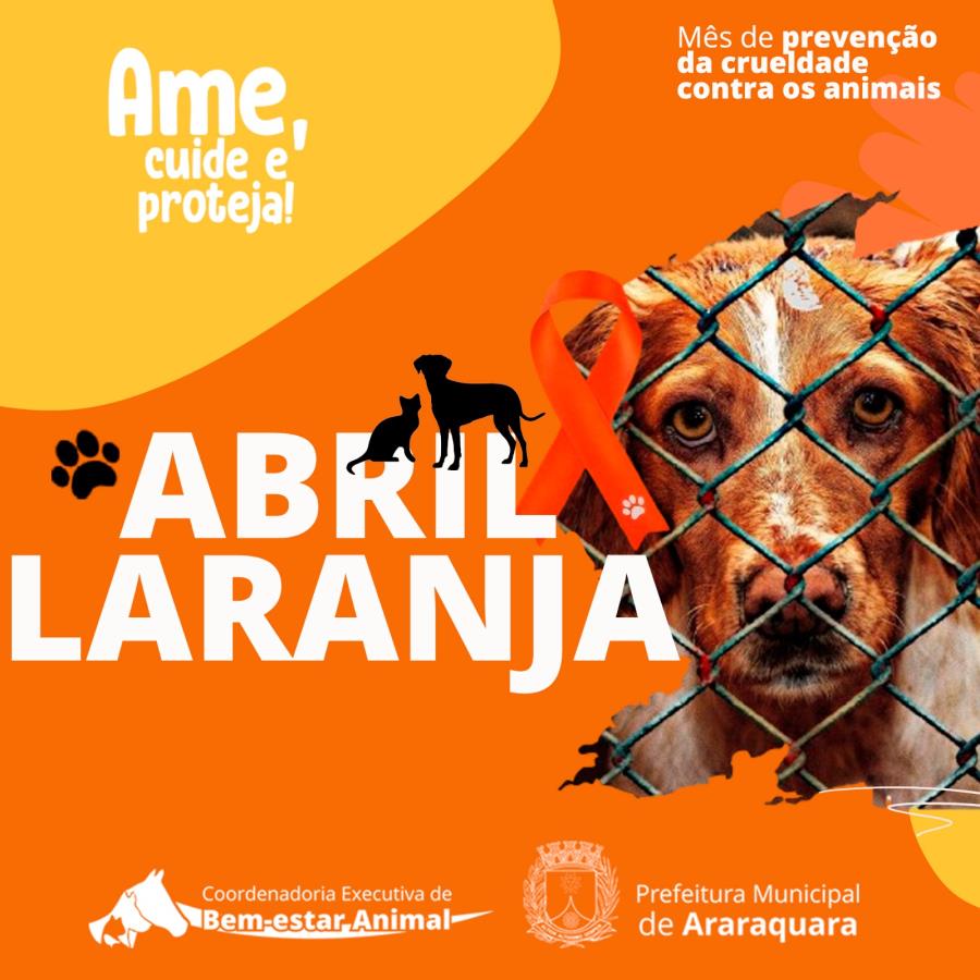 Abril Laranja conscientiza para o combate à crueldade animal