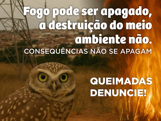 Fogo pode ser apagado. CONSEQUÊNCIAS NÃO SE APAGAM