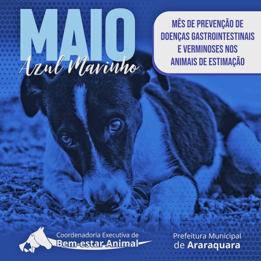 "Maio Azul Marinho" alerta para a prevenção de verminoses em pets