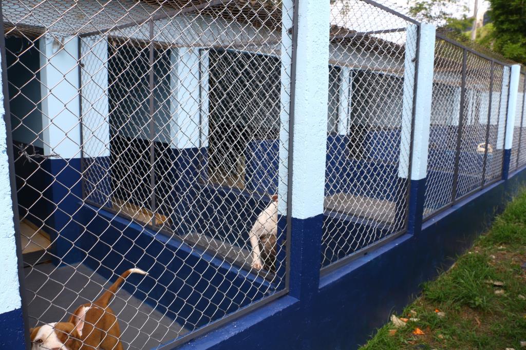 Canil do Parque Pinheirinho é revitalizado