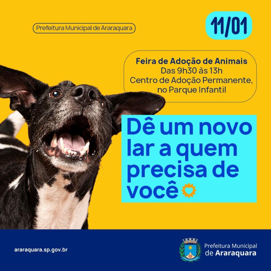 Parque Infantil recebe campanha de adoção de filhotes neste sábado (11)