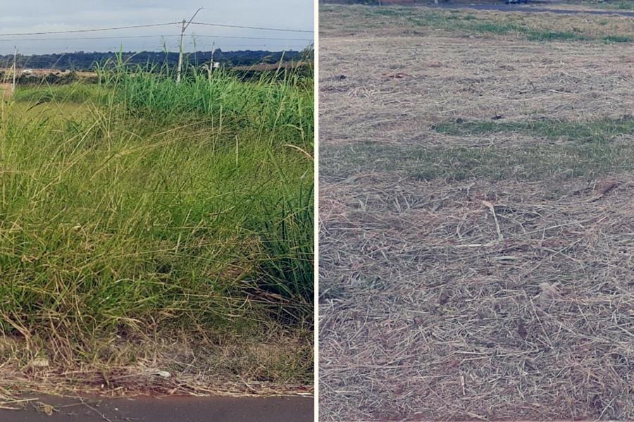 Campanha informativa – Fiscalização de Calçadas e Terrenos 2025