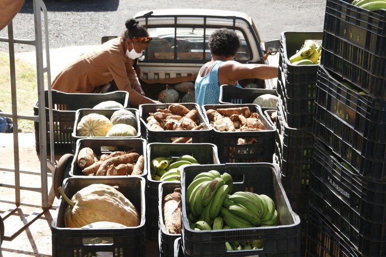 Prefeitura abre chamada pública para aquisição de alimentos de agricultores familiares