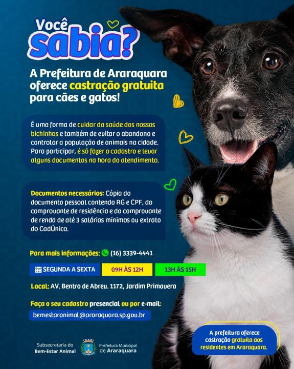 Bem-Estar Animal: Programa municipal oferece castração gratuita de cães e gatos