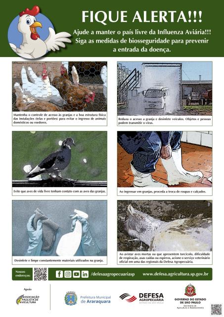 Coordenadoria da Agricultura destaca a importância da prevenção da influenza aviária