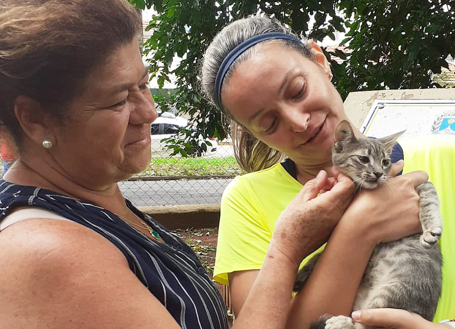 Cães e gatos de Araraquara buscam lares: uma chamada à solidariedade