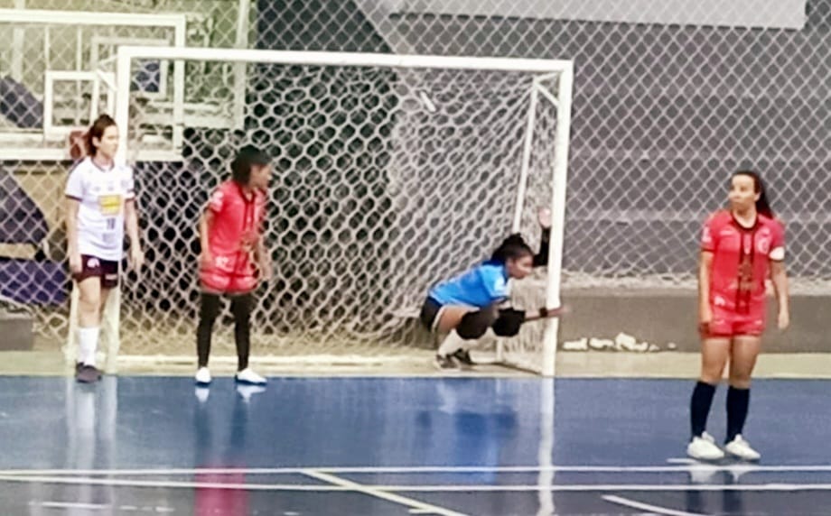 Futsal feminino se prepara para final da Copa Paulista - Portal Morada -  Notícias de Araraquara e Região