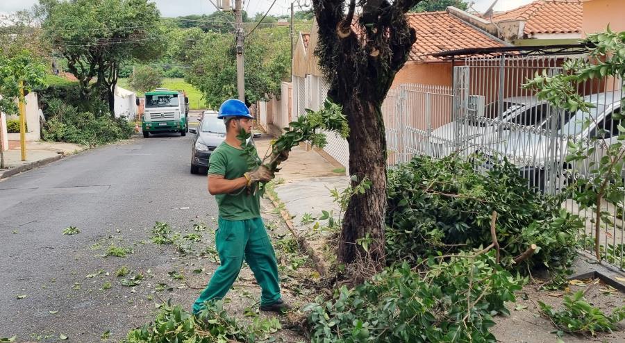 Solicitação para poda e remoção de árvores pode ser feita no  "Prefeitura nos Bairros"