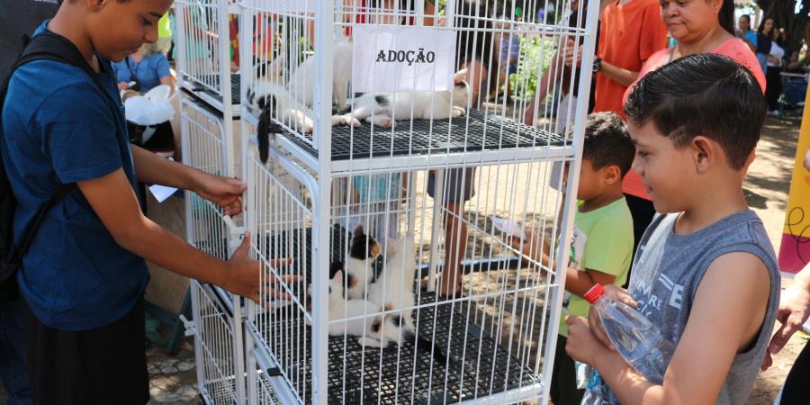 Prefeitura de Jales e clínica Turma dos Bichos vão realizar Feira de Adoção de Animais neste sábado (26), na Praça João Mariano de Freitas