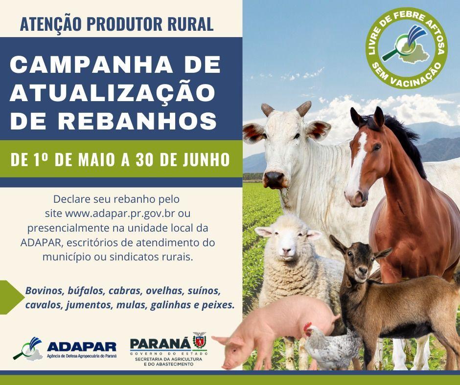 Campanha de Atualização de Bovinos