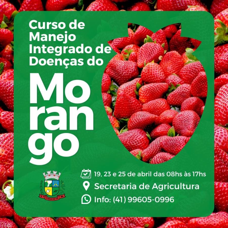 Curso de Manejo Integrado de Doenças do Morango