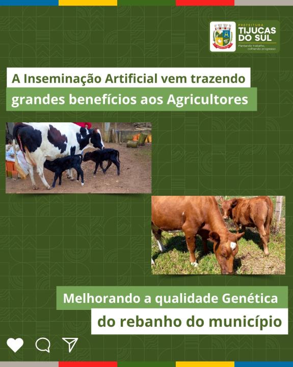 INSEMINAÇÃO ARTIFICIAL TRAZENDO BENEFÍCIOS AO CAMPO.