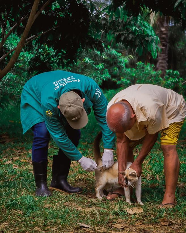 Vacinação Antirrábica avança nas comunidades de Manaquiri com estratégia casa a casa.