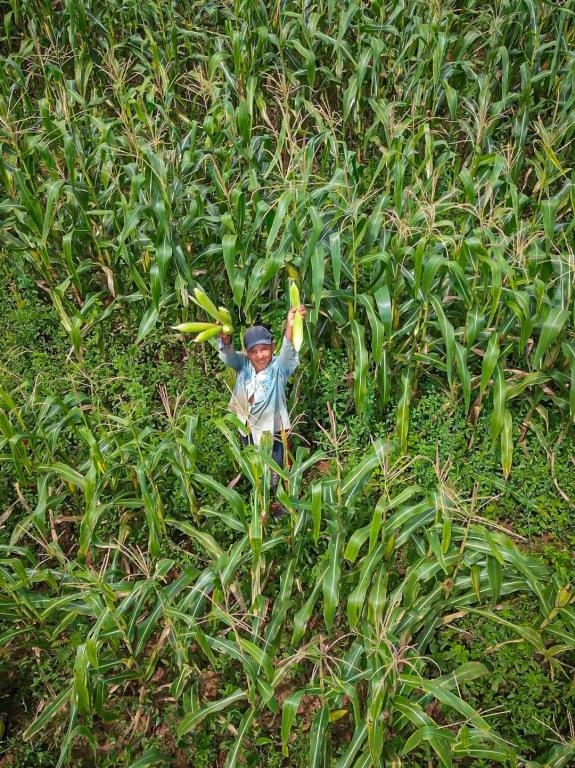 Agroonline impulsiona economia de Manaquiri e já movimenta mais de R$ 500 mil em 2026.