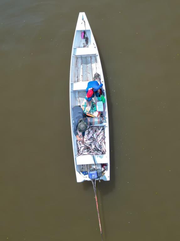 Prefeito Nelson Nilo sanciona lei que institui o Dia Municipal do Pescador Artesanal em Manaquiri.