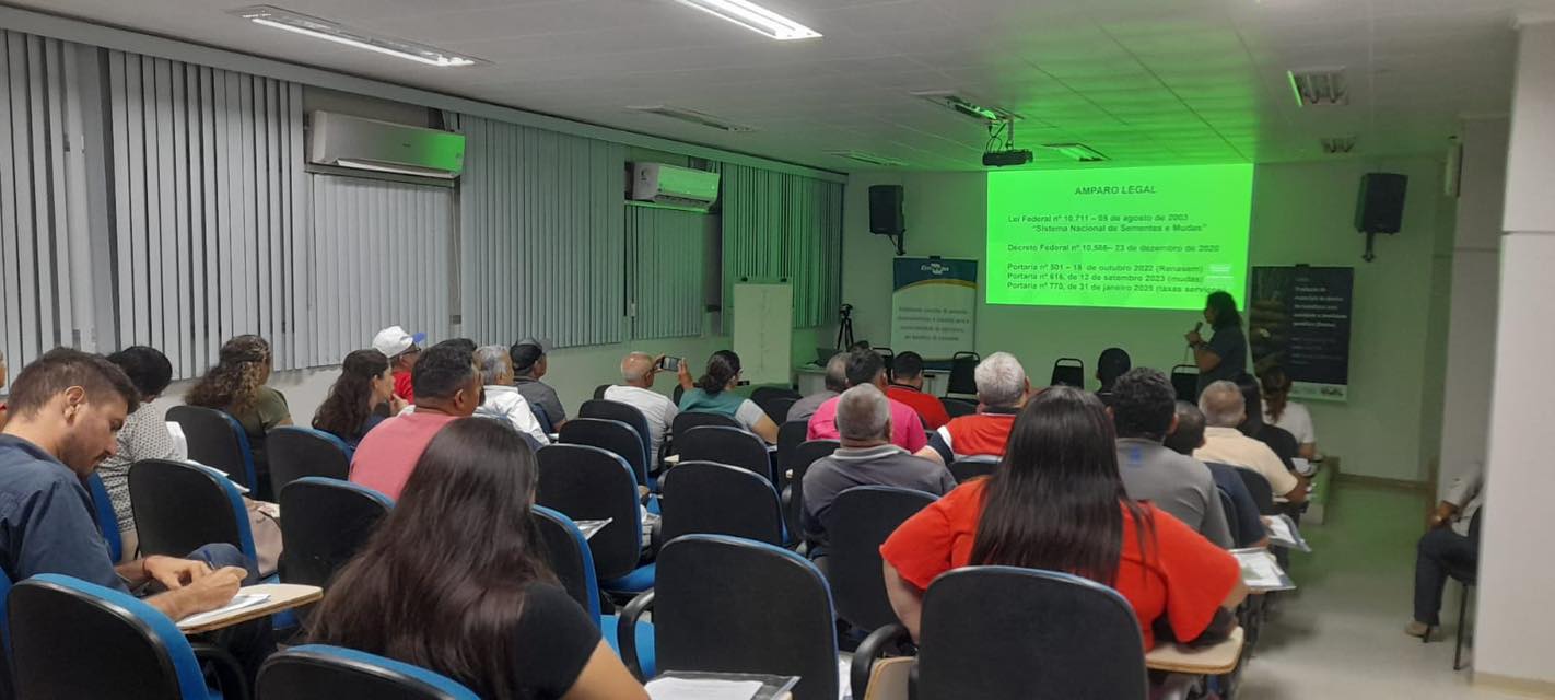 Prefeitura de Manaquiri apoia capacitação de técnicos da SEMPRA sobre produção de mandioca