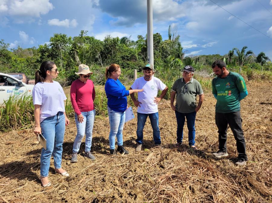 Prefeitura de Manaquiri dialogou para afirmar um acordo de Cooperação com a Empresa Brasileira de Pesquisa Agropecuária- EMBRAPA