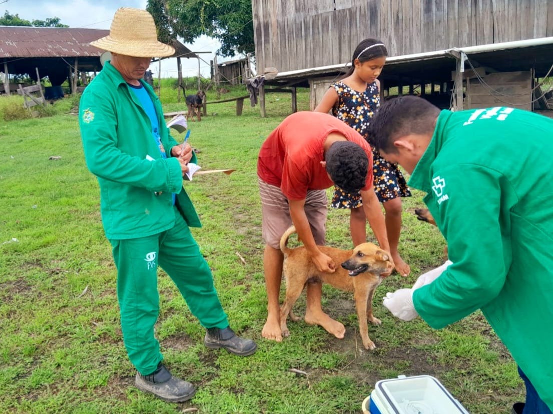 Manaquiri é Destaque na Campanha de Vacinação Antirrábica Animal 2024