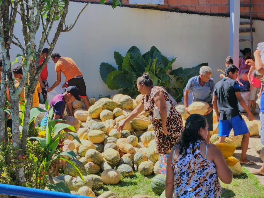 Hortifrútis do Programa PAA Municipal são entregues nesta quarta-feira, 06 de março