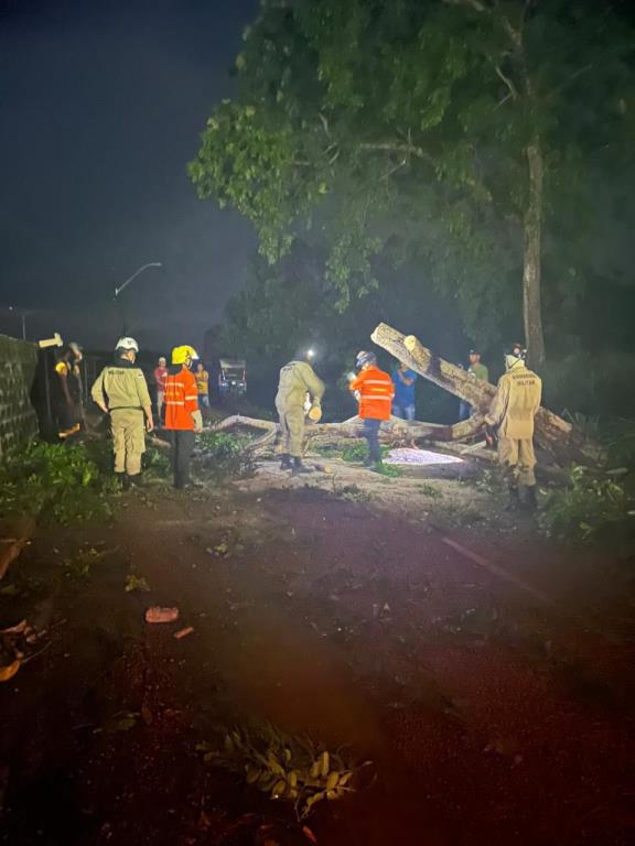 Prefeitura de Manaquiri atua em força-tarefa após fortes chuvas na tarde de terça-feira (04/11)